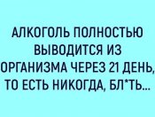 40162388_241585299745106_5985586360667340800_n.jpg