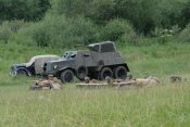 DSC_1226.JPG