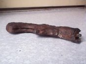 IMG0137A.jpg