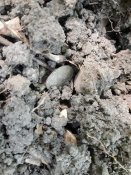20180829_100533.jpg