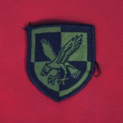Нашивка армии Британии, 16th Air Assault Brigade