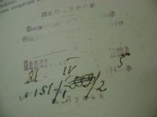 DSC07228.JPG