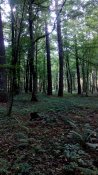 IMG_20180830_140345.jpg
