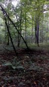 IMG_20180830_140350.jpg