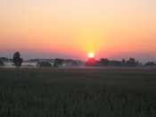 IMG_1401.jpg