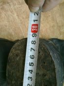 28062012312.jpg