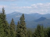 IMG_20180831_100557.jpg