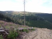 IMG_20150101_044358.jpg