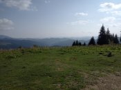 IMG_20150101_020137.jpg