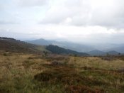 IMG_20150101_103004.jpg