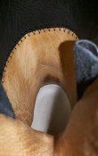 20180902_121638.jpg