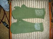 IMGP8151.JPG