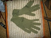 IMGP8155.JPG