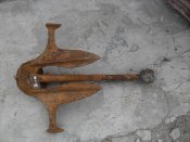 SDC12504.jpg