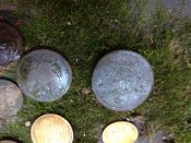IMG_20180824_161036.jpg