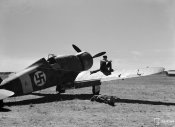 5_FIAT G50.jpg