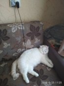 tmp-cam-1867280220.jpg