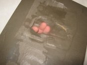 IMG_3449.JPG