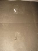 IMG_3456.JPG