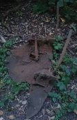 _20180902_195833.JPG