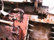 nashorn_023_of_100.jpg