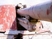 nashorn_027_of_100.jpg