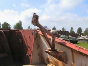 nashorn_039_of_100.jpg