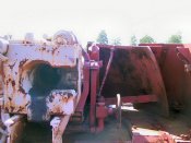 nashorn_041_of_100.jpg