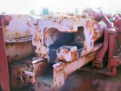 nashorn_042_of_100.jpg
