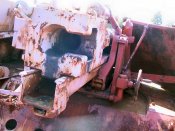 nashorn_043_of_100.jpg