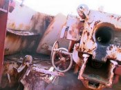 nashorn_044_of_100.jpg