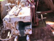 nashorn_049_of_100.jpg