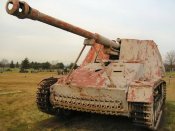 nashorn_051_of_100.jpg