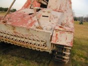nashorn_052_of_100.jpg