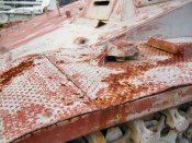 nashorn_054_of_100.jpg