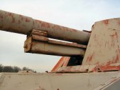 nashorn_058_of_100.jpg