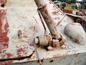 nashorn_059_of_100.jpg