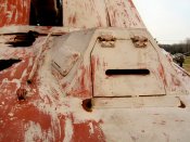 nashorn_062_of_100.jpg