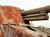 nashorn_067_of_100.jpg