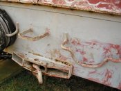 nashorn_074_of_100.jpg