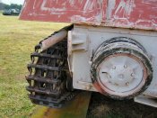 nashorn_076_of_100.jpg