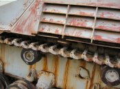 nashorn_083_of_100.jpg