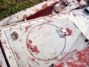 nashorn_099_of_100.jpg