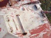 nashorn_100_of_100.jpg