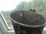 20180907_132600.jpg