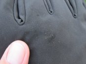 IMG_5114.JPG