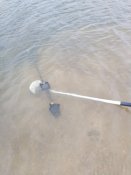 IMG_20180908_143054.jpg