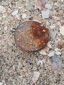 IMG_20180906_132319.jpg