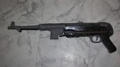 SL551431.JPG