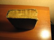 IMG_0006.jpg